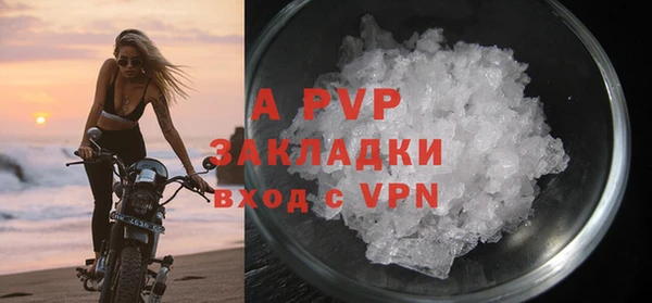 стаф Аркадак