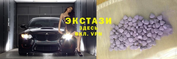 стаф Аркадак