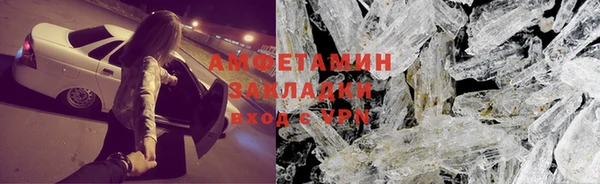 стаф Аркадак