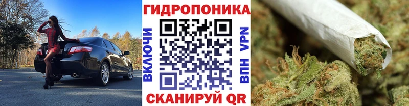 Каннабис Amnesia Хилок